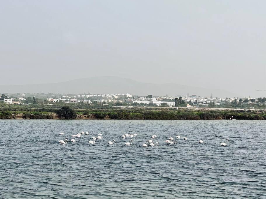 Olhao 3 Bedroom With Rooftop Pool, Marina Village Exterior photo